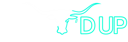 Dust'd up co shirt